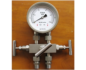 湖北差压表带三阀组